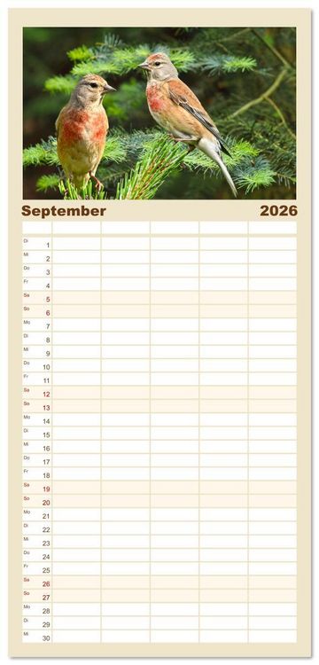 Produktbild: Familienplaner 2026 - Deutschlands Finken mit 5 Spalten (Wandkalender, 21 x 45 cm) CALVENDO