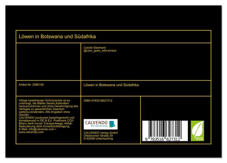 Produktbild: L&ouml;wen in Botswana und S&uuml;dafrika (Tischkalender 2026 DIN A5 quer), CALVENDO Monatskalender
