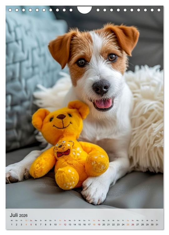 Produktbild: Jack Russel Terrier - furchtlos und viel Selbstvertrauen (Wandkalender 2026 DIN A4 hoch), CALVENDO Monatskalender