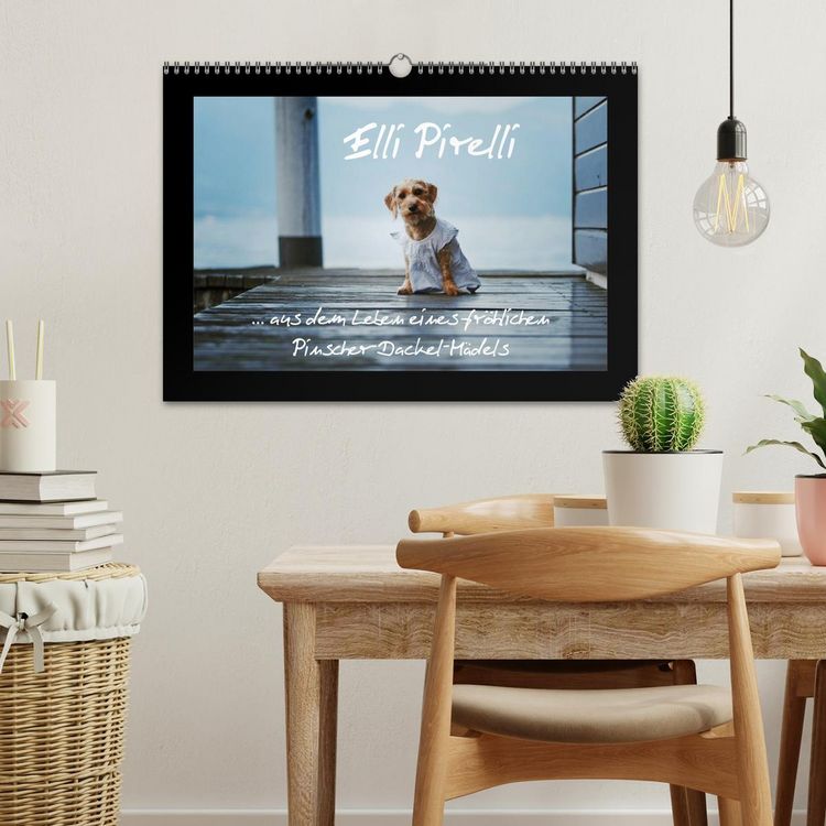 Produktbild: Elli Pirelli... aus dem Leben eines fr&ouml;hlichen Pinscher-Dackel-M&auml;dels (Wandkalender 2026 DIN A3 quer), CALVENDO Monatskalender