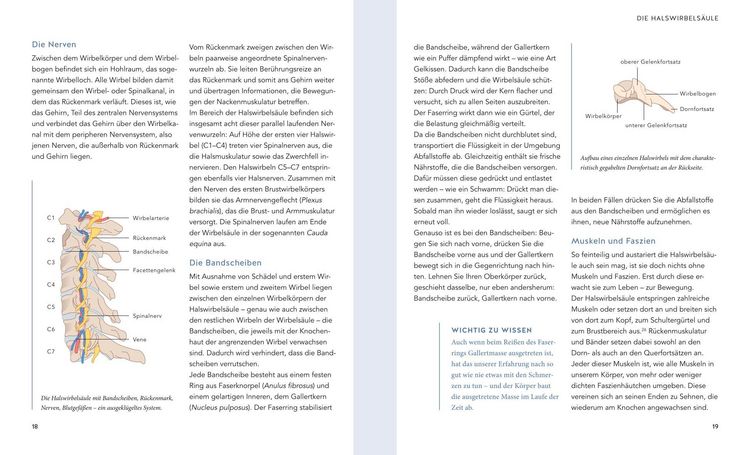 Produktbild: Nacken Schmerzen selbst behandeln