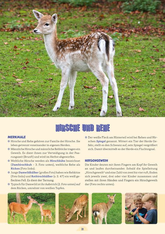 Produktbild: Kleine Waldentdecker: Tiere