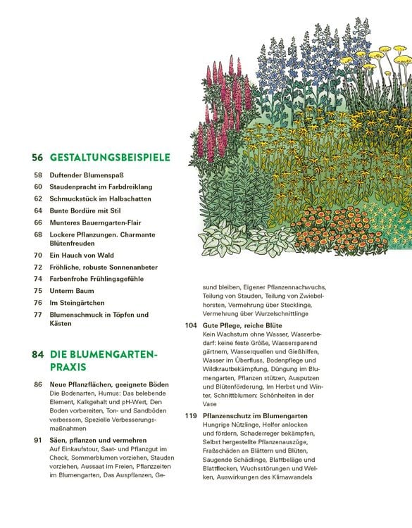 Produktbild: Das gro&szlig;e Buch der Stauden und Sommerblumen