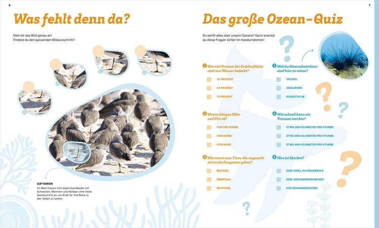 Produktbild: WAS IST WAS R&auml;tseln und Stickern: Ozeane