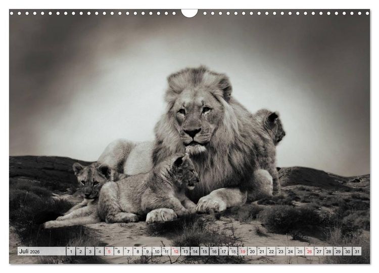 Produktbild: Wilde Tiere in schwarz-wei&szlig; (Wandkalender 2026 DIN A3 quer), CALVENDO Monatskalender