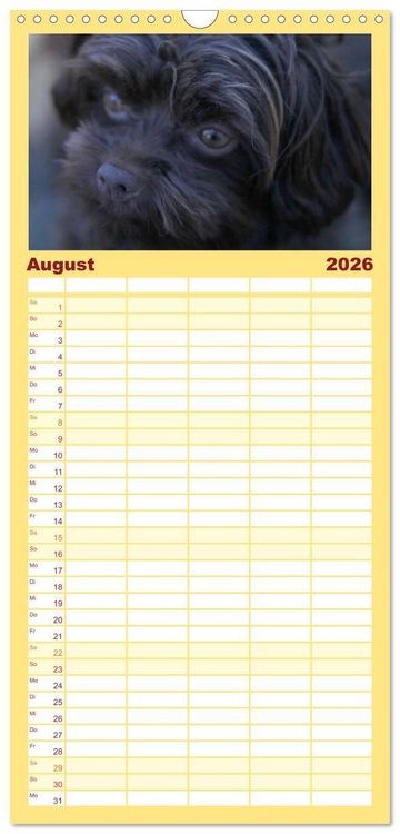 Produktbild: Familienplaner 2026 - Bolonka Zwetna mit 5 Spalten (Wandkalender, 21 x 45 cm) CALVENDO