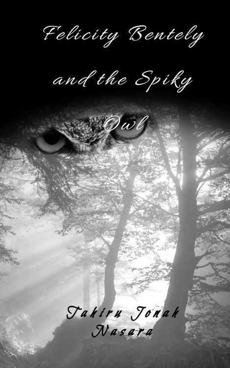Produktbild: Felicity Bentely and the Spiky Owl