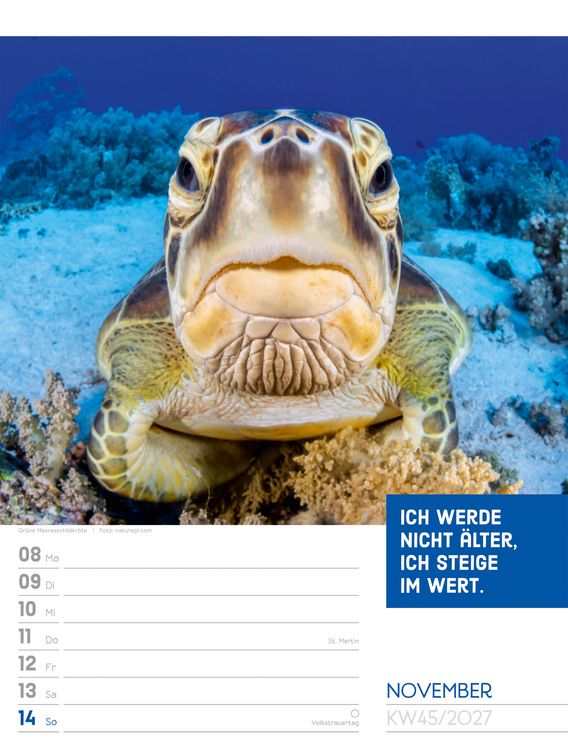 Produktbild: Tierisch Spr&uuml;chekalender Wochenplaner 2027