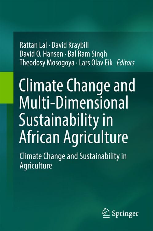 Produktbild: Climate Change and Multi-Dimensional Sustainability in African Agriculture