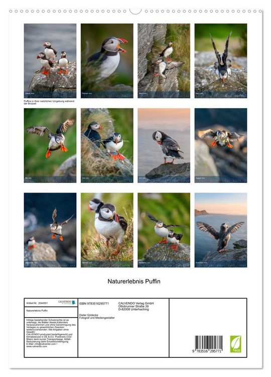 Produktbild: Naturerlebnis Puffin (hochwertiger Premium Wandkalender 2026 DIN A2 hoch), Kunstdruck in Hochglanz