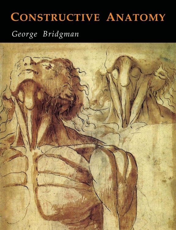 Produktbild: Constructive Anatomy