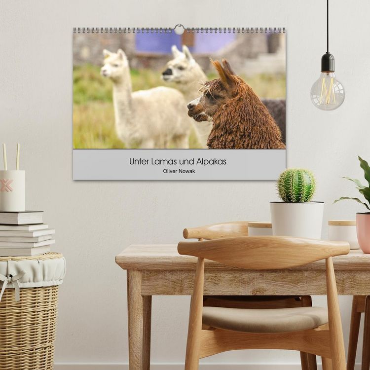 Produktbild: Unter Lamas und Alpakas (Wandkalender 2026 DIN A3 quer), CALVENDO Monatskalender