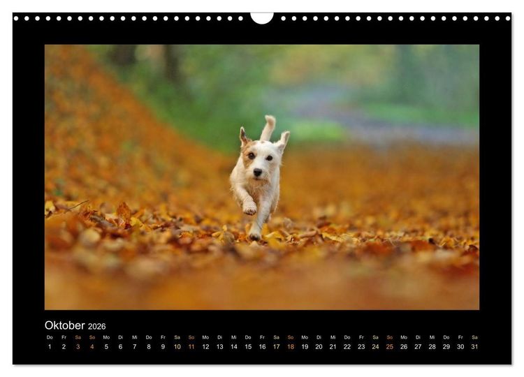 Produktbild: Die Parsons (Wandkalender 2026 DIN A3 quer), CALVENDO Monatskalender