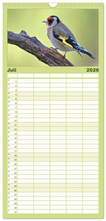 Produktbild: Familienplaner 2026 - Heimische Gartenv&ouml;gel mit 5 Spalten (Wandkalender, 21 x 45 cm) CALVENDO