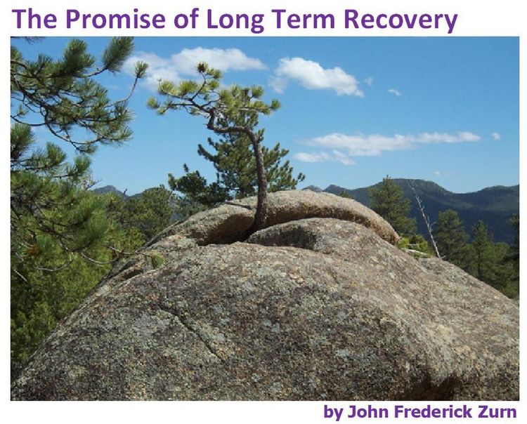 Produktbild: The Promise of Long Term Recovery
