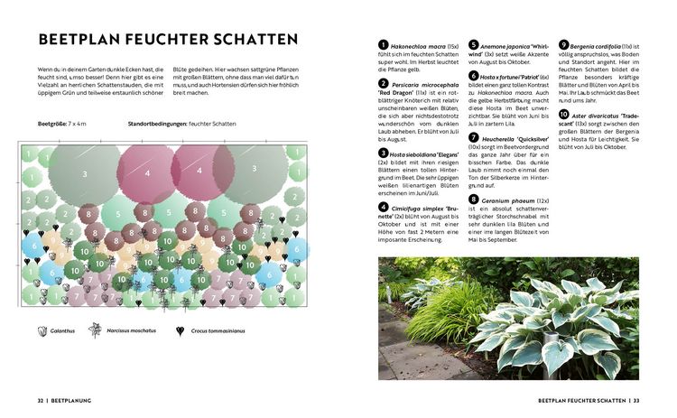 Produktbild: Gartenmomente: Blumen im Garten