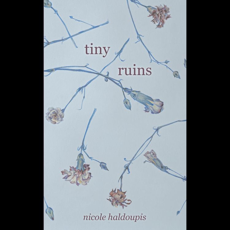 Produktbild: Tiny Ruins