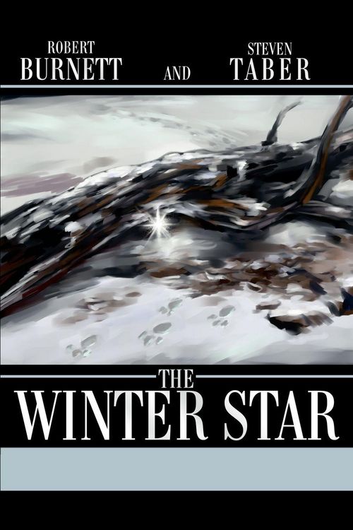 Produktbild: The Winter Star