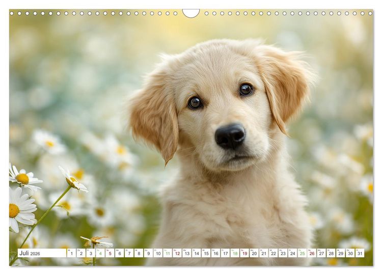 Produktbild: Flauschige Momente (Wandkalender 2026 DIN A3 quer), CALVENDO Monatskalender
