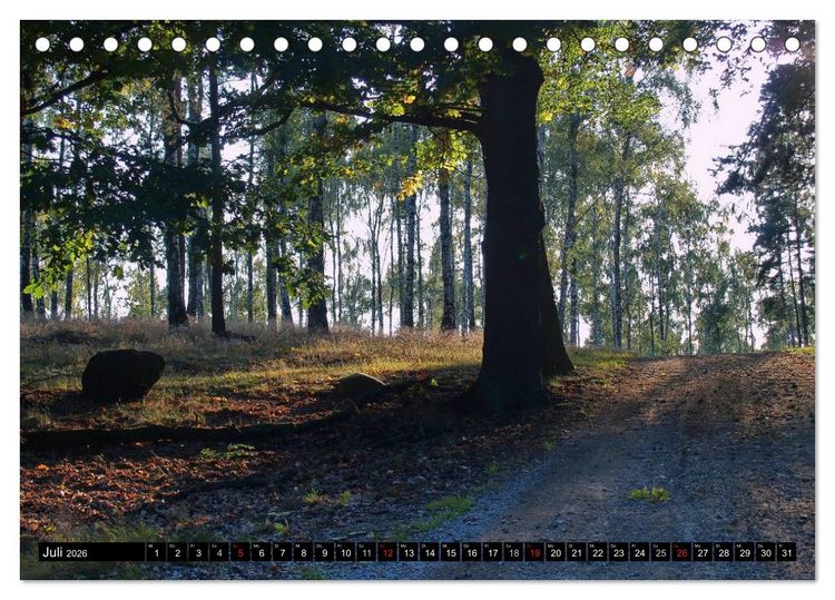 Produktbild: Brandenburg'sche Impressionen (Tischkalender 2026 DIN A5 quer), CALVENDO Monatskalender