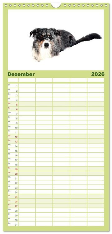 Produktbild: Familienplaner 2026 - Border Collies mit 5 Spalten (Wandkalender, 21 x 45 cm) CALVENDO