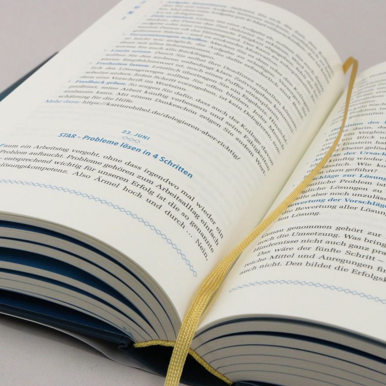 Produktbild: Die Karriere-Bibel