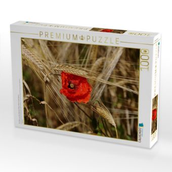 Produktbild: CALVENDO Puzzle Ein Motiv aus dem Kalender Roter Mohn, bunte Wiesen | 1000 Teile Lege-Gr&ouml;&szlig;e 64x48cm Foto-Puzzle f&uuml;r gl&uuml;ckliche Stunden