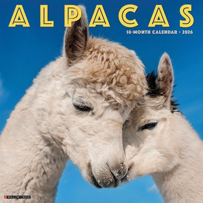 Produktbild: Alpacas 2026 12 X 12 Wall Calendar