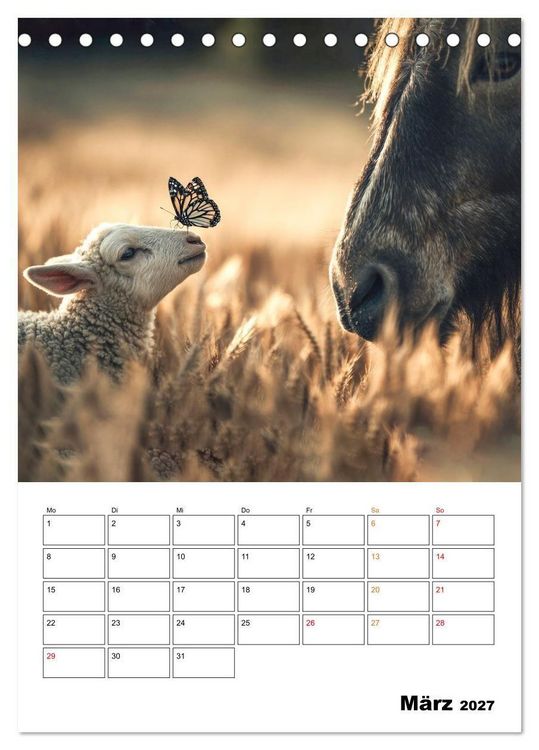 Produktbild: Ein Herz und eine Schnauze - Ein tierisch buntes Miteinander (Tischkalender 2027 DIN A5 hoch), CALVENDO Monatskalender