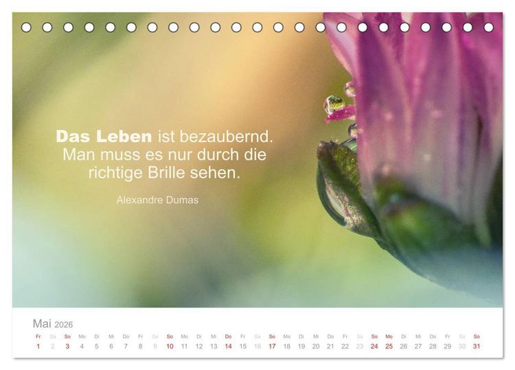 Produktbild: Zauberhafte Spr&uuml;che - Bunte Seelenbl&uuml;ten (Tischkalender 2026 DIN A5 quer), CALVENDO Monatskalender