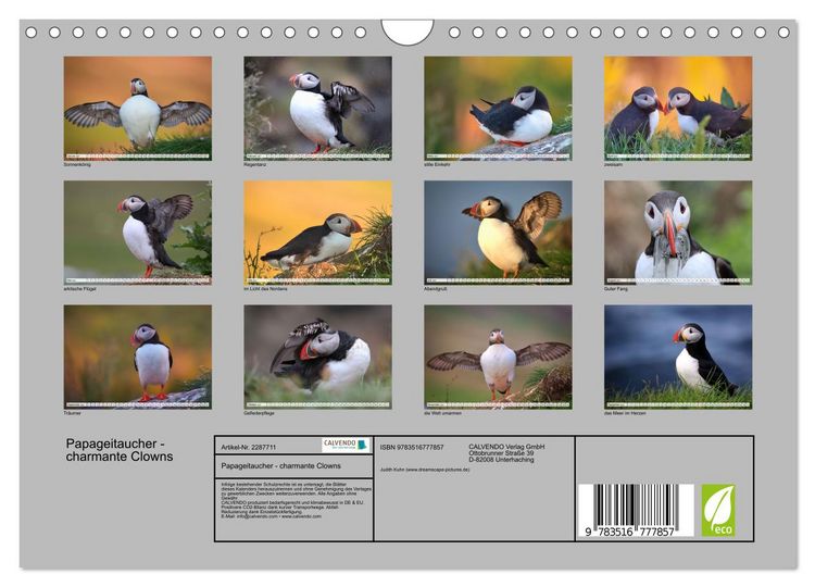 Produktbild: Papageitaucher - charmante Clowns (Wandkalender 2027 DIN A4 quer), CALVENDO Monatskalender