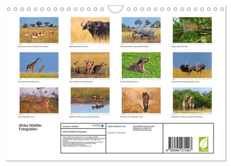 Produktbild: Afrika Wildlife-Fotografien (Wandkalender 2027 DIN A4 quer), CALVENDO Monatskalender