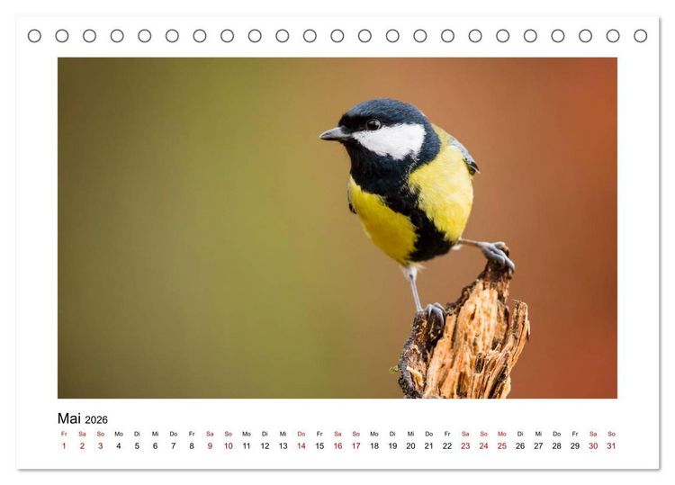 Produktbild: Deutschlands Wildtiere (Tischkalender 2026 DIN A5 quer), CALVENDO Monatskalender