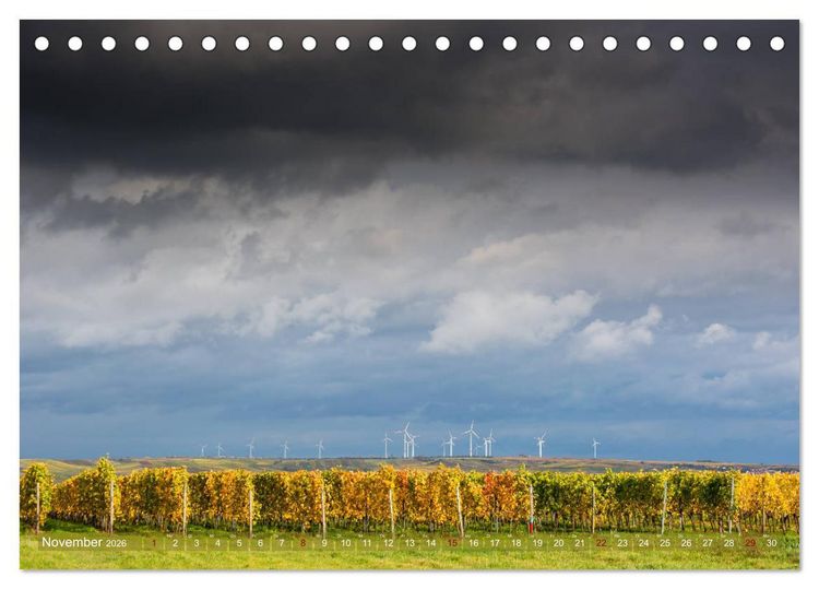 Produktbild: Wein - Landschaften (Tischkalender 2026 DIN A5 quer), CALVENDO Monatskalender
