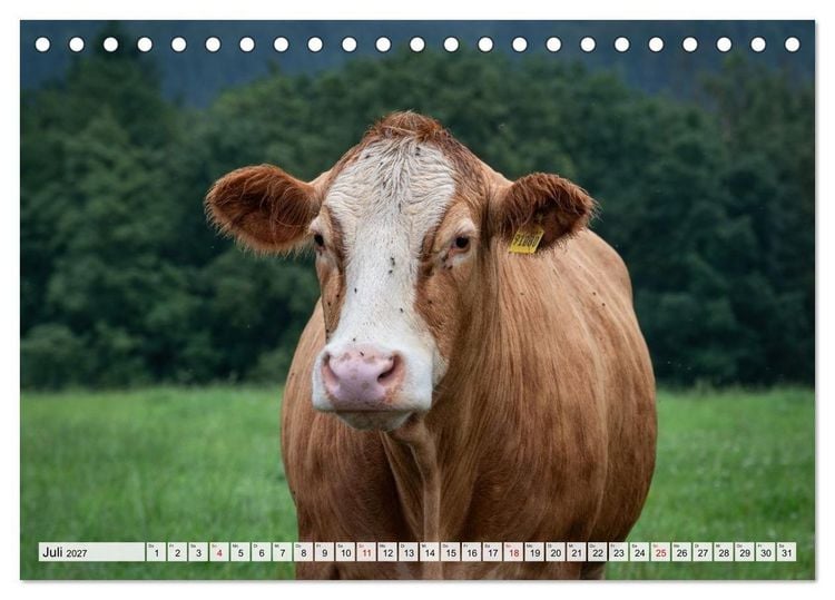 Produktbild: Heimatmomente - L&auml;ndliche Impressionen (Tischkalender 2027 DIN A5 quer), CALVENDO Monatskalender