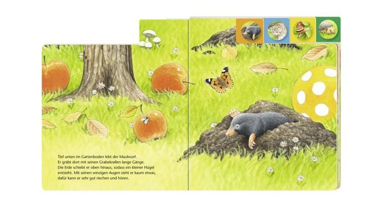 Produktbild: Wer wohnt im Garten?