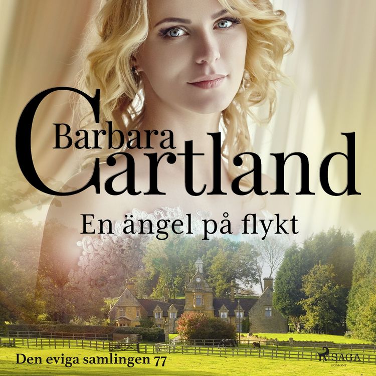 Produktbild: En &auml;ngel p&aring; flykt