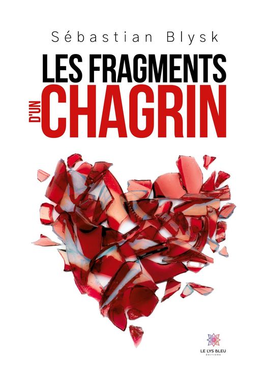 Produktbild: Les fragments d'un chagrin