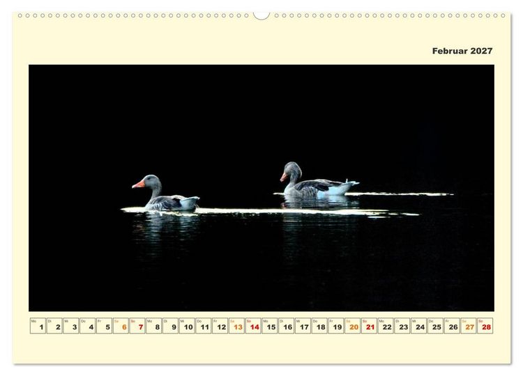Produktbild: Tierwelt der W&uuml;mmeniederung (Wandkalender 2027 DIN A2 quer), CALVENDO Monatskalender