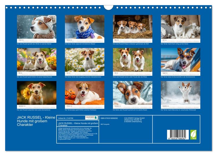 Produktbild: JACK RUSSEL - Kleine Hunde mit gro&szlig;em Charakter (Wandkalender 2026 DIN A3 quer), CALVENDO Monatskalender