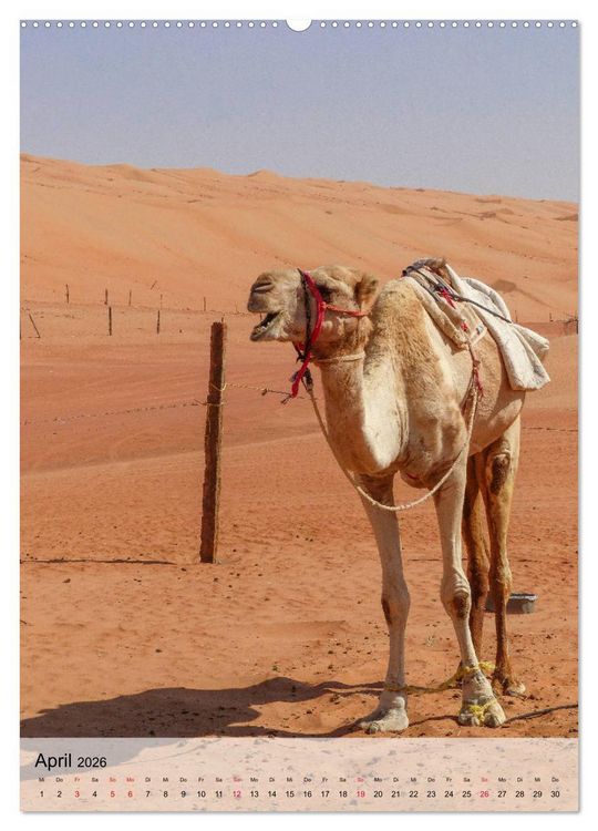 Produktbild: Zauberhafter Oman (Wandkalender 2026 DIN A2 hoch), CALVENDO Monatskalender
