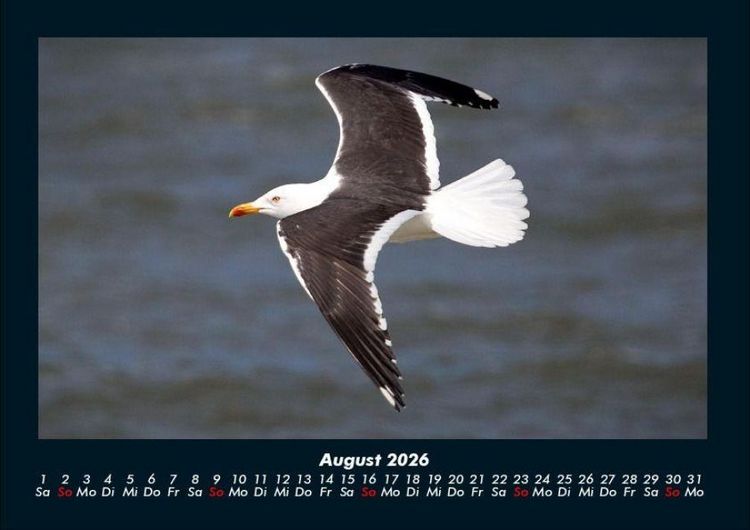 Produktbild: Vogelparadies 2026 Fotokalender DIN A4