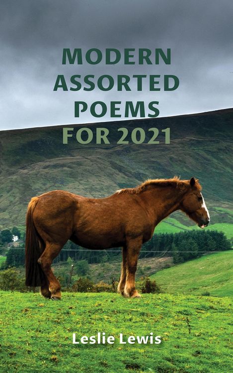 Produktbild: Modern Assorted Poems for 2021