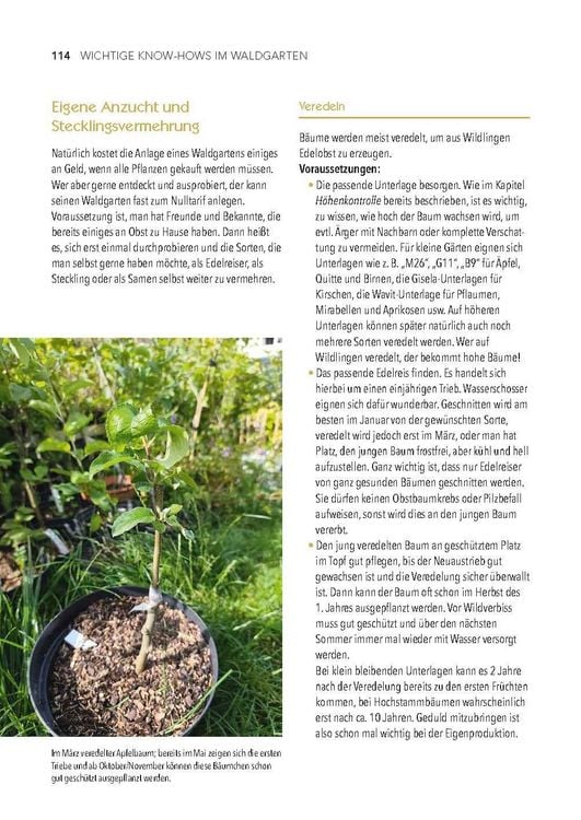 Produktbild: Dein Weg zum essbaren Waldgarten