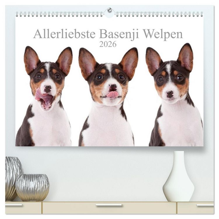 Produktbild: Allerliebste Basenji Welpen 2026 (hochwertiger Premium Wandkalender 2026 DIN A2 quer), Kunstdruck in Hochglanz