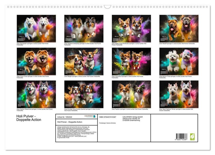 Produktbild: Holi Pulver - Doppelte Action (Wandkalender 2026 DIN A2 quer), CALVENDO Monatskalender