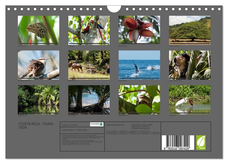 Produktbild: COSTA RICA - PURA VIDA (Wandkalender 2026 DIN A4 quer), CALVENDO Monatskalender