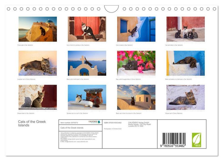 Produktbild: Cats of the Greek Islands (Wall Calendar 2026 DIN A4 landscape), CALVENDO 12 Month Wall Calendar
