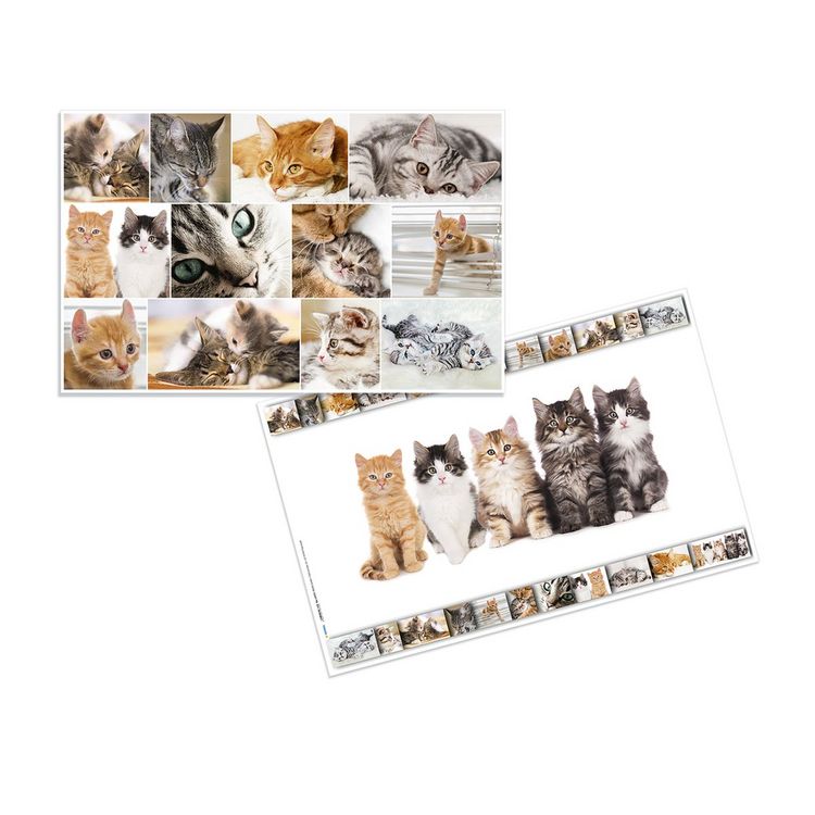 Produktbild: HERMA Schreibtischunterlage Katzen 55x35cm