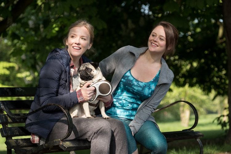 Produktbild: Ein Mops zum Verlieben